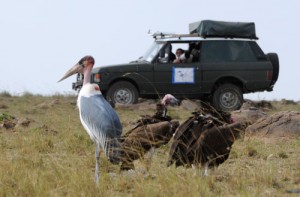 The African Raptor Expedition mobile