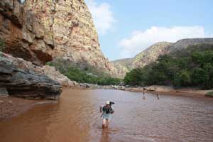 Wading through the river