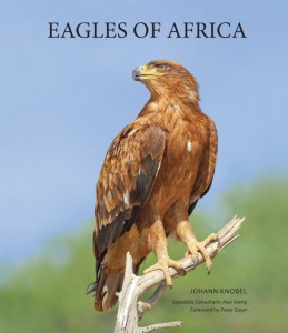 New interview with Johann Knobel about the eagles in Africa