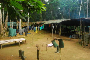Bekob field station in the Ebo forest
